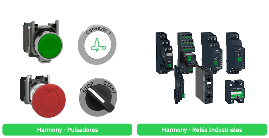 Ibéricos Capa Negra de regalo por comprar Schneider Electric en Elektra Aragón