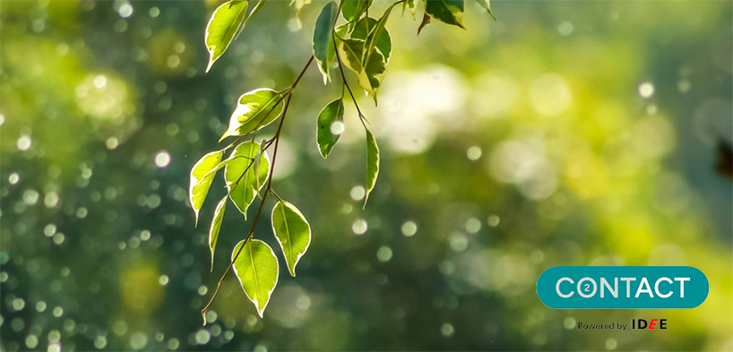 Grupo Elektra, ayudamos a promover la sostenibilidad a través del programa CO2NTACT de IDEE